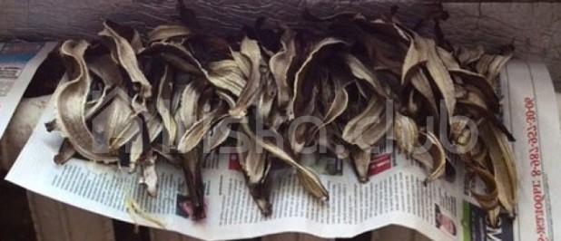 Сушеная банановая кожура для декорирования Сушеная банановая кожура на батарее фотография