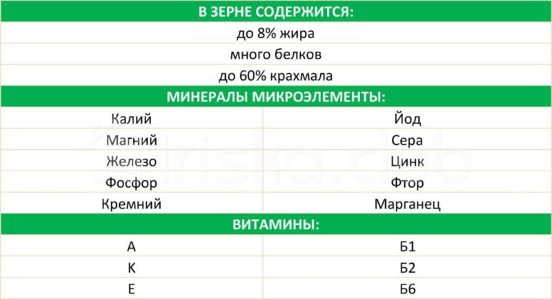 Таблица витамины, микроэлементы содержащиеся в овсянке таблица